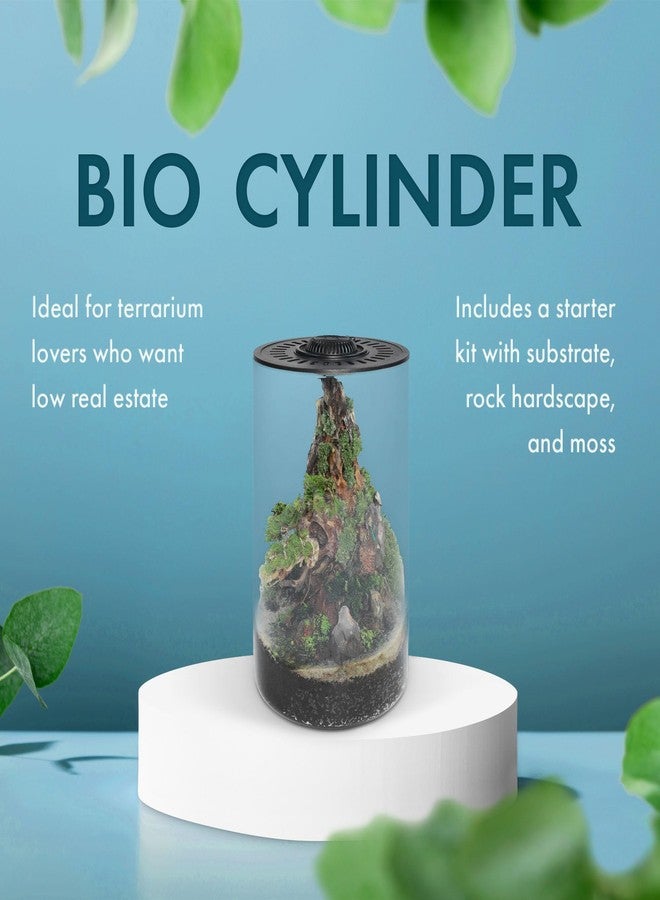 SubstrateSource Bio Cylinder - Glass Plant Terrarium Kit - Glass Terrarium w/LED Grow Light, Adjustable Ventilation Lid, Substrate, Moss & Accent Rocks - Bio Cylinder 150 - Image 3
